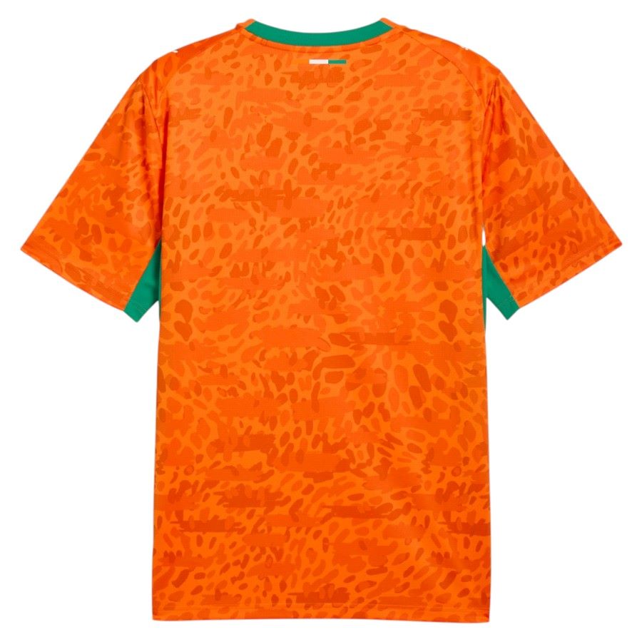 Maillot Cote d’Ivoire Domicile 2026 2027 (4)