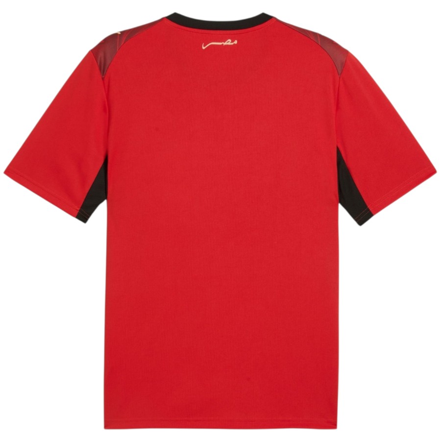 Maillot Egypte Domicile 2026 2027 (2)