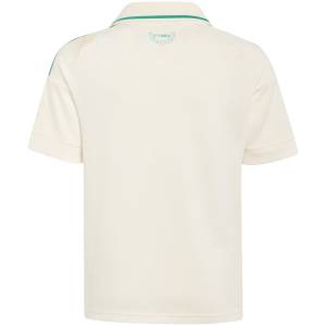 Maillot Pays de Galle Exterieur 2026 2027 (2)