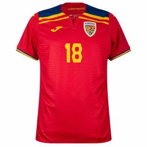 Maillot Roumanie Exterieur 2026 2027 Marin (2)