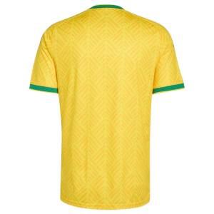 Maillot Afrique du Sud Domicile 2026 2027 Femme (2)