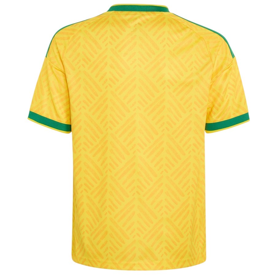 Maillot Afrique du Sud Enfant Domicile 2026 2027 (2)