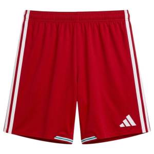 Maillot Kit Enfant Pays de Galles Domicile 2026 2027 (3)