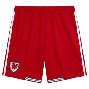 Maillot Kit Enfant Pays de Galles Domicile 2026 2027 (4)