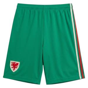 Maillot Kit Enfant Pays de Galles Exterieur 2026 2027 (3)