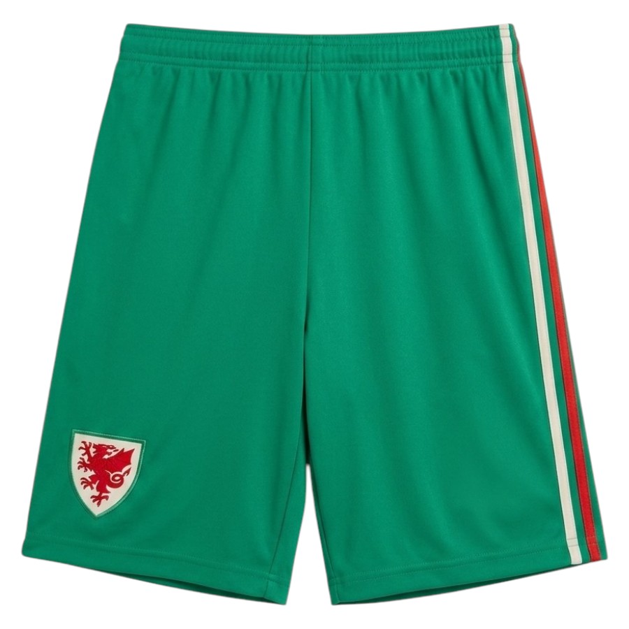 Maillot Kit Enfant Pays de Galles Exterieur 2026 2027 (3)