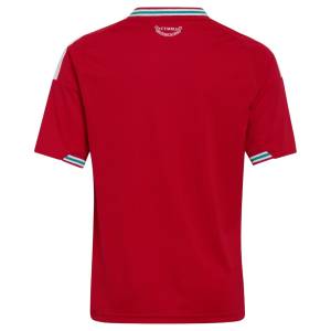 Maillot Pays de Galles Enfant Domicile 2026 2027 (2)
