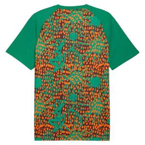 Maillot Cote d’Ivoire Pre-Match 2026 2027 (2)