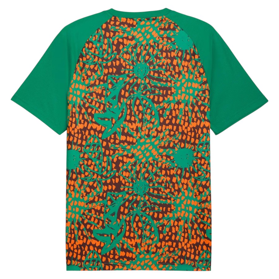 Maillot Cote d’Ivoire Pre-Match 2026 2027 (2)