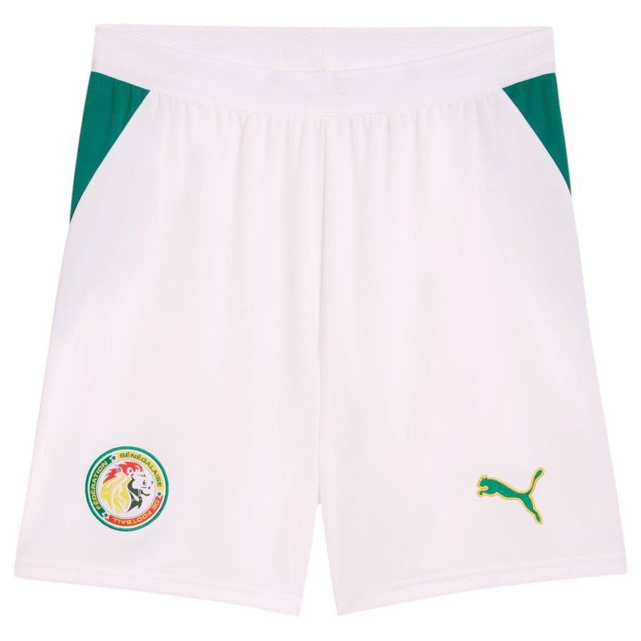 Maillot Senegal Kit Enfant Domicile 2026 2027 (3)