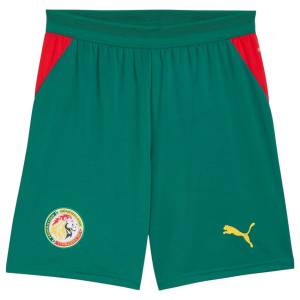 Maillot Senegal Kit Enfant Exterieur 2026 2027 (3)