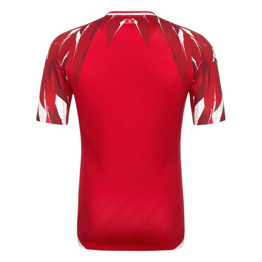 Maillot Tunisie Exterieur 2026 2027 (2)