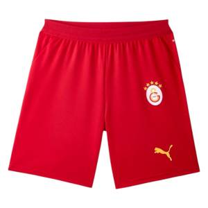 Shirt galatasaray Domicile 2026 2027 (1)