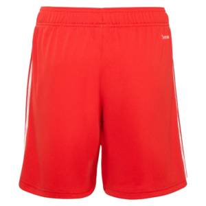 Short Benfica Exterieur 2026 2027 (2)