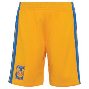 Short Tigres Domicile 2026 2027 (1)