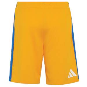 Short Tigres Domicile 2026 2027 (2)