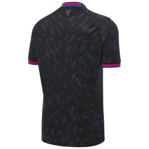 Maillot Crystal Palace Exterieur 2026 2027 (2)