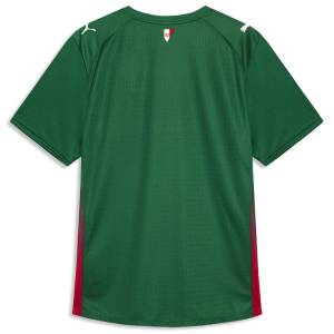 Maillot Match Palmeiras Domicile 2026 2027 (2) Maillot Match Palmeiras Domicile 2026 2027 (2)