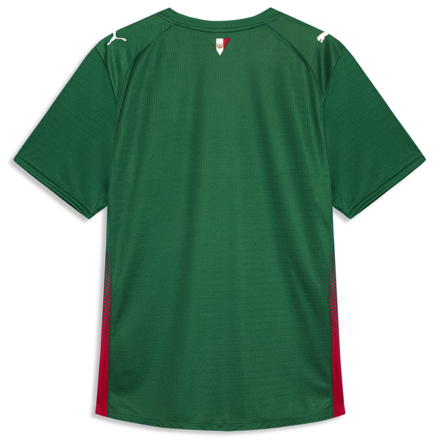 Maillot Match Palmeiras Domicile 2026 2027 (2) Maillot Match Palmeiras Domicile 2026 2027 (2)
