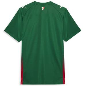 Maillot Palmeiras Domicile 2026 2027 (2) Maillot Palmeiras Domicile 2026 2027 (2)