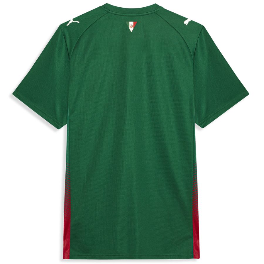 Maillot Palmeiras Domicile 2026 2027 (2) Maillot Palmeiras Domicile 2026 2027 (2)