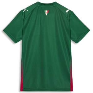 Maillot Palmeiras Domicile 2026 2027 Enfant (2)