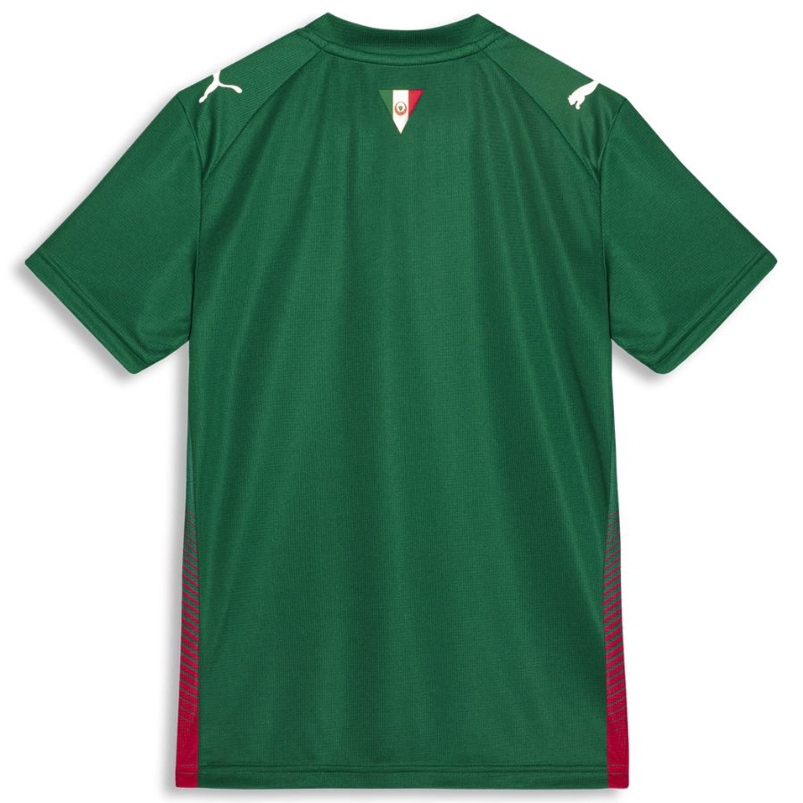 Maillot Palmeiras Domicile 2026 2027 Enfant (2)