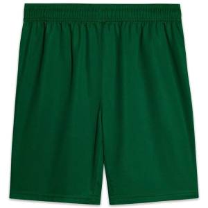 Short Palmeiras Exterieur 2026 2027 (2) Short Palmeiras Exterieur 2026 2027 (2)
