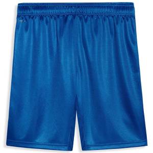 Short Palmeiras Third 2026 2027 (2)